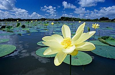 《万智牌：竞技场》5月23日Steam发售 国服由腾讯代理